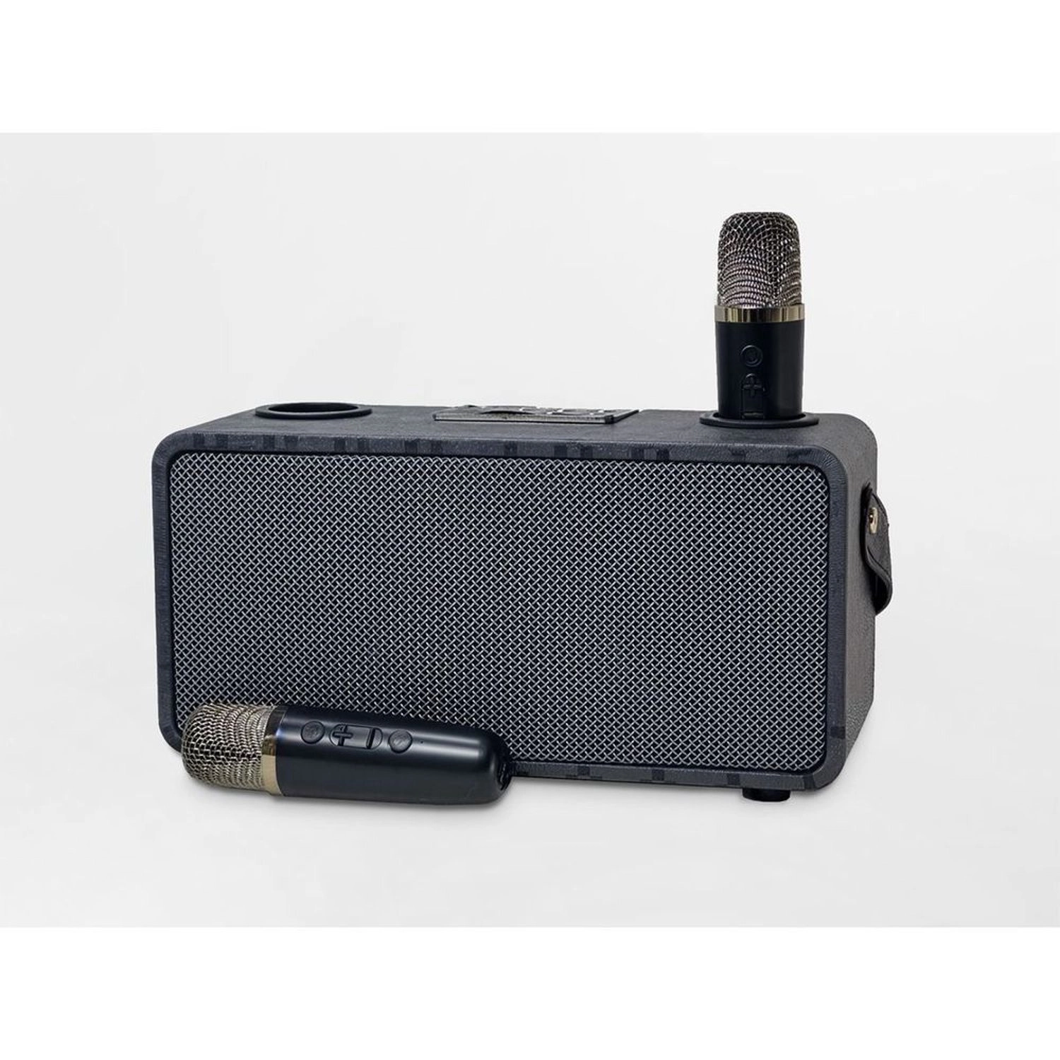 Pulz Mini Karaoke - 2 Microphones