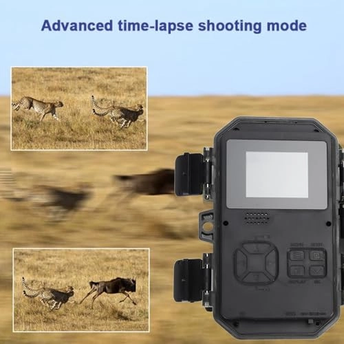 Trail Camera - 4K IP66