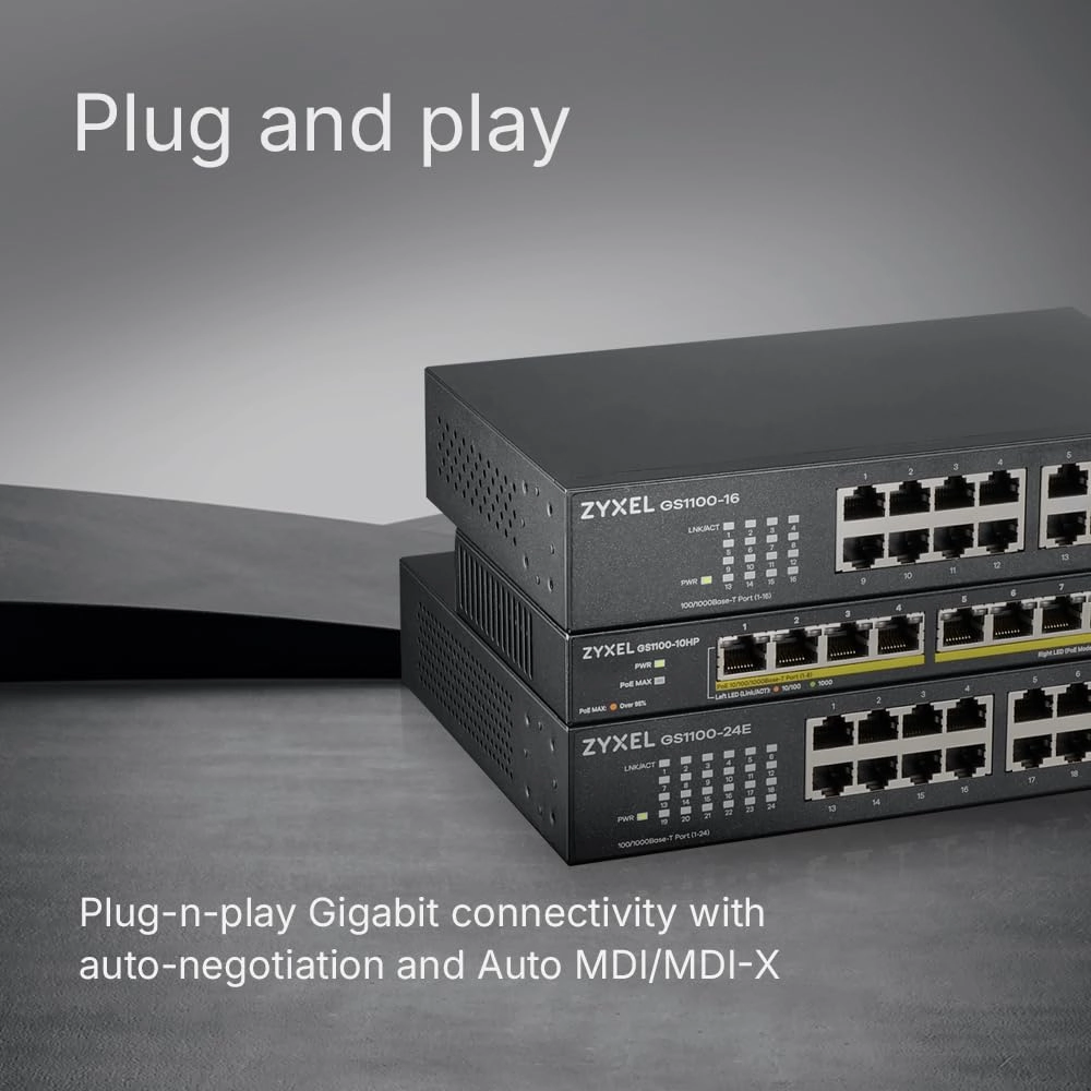 GS1100-24E 24-ports