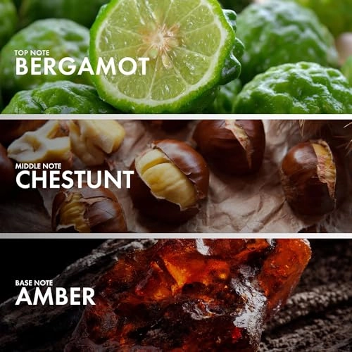 Woody Chestnut Eau de Parfum - 50 ml