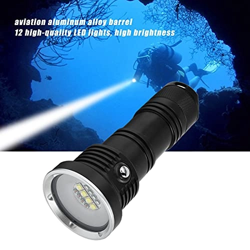 12LED Flashlight (10000lm)
