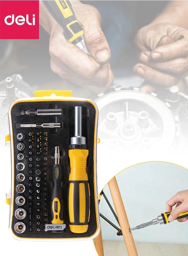 DL3565 Precision Slotted and Phillips Screwdriver Set (65 Pcs)