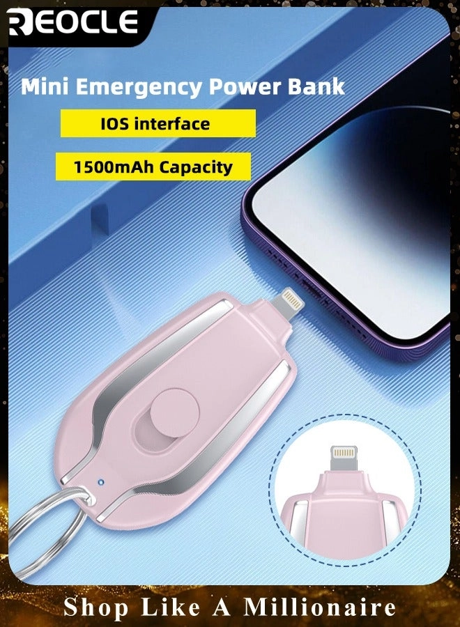 Mini Portable Charger - 1.5 Watt-hour