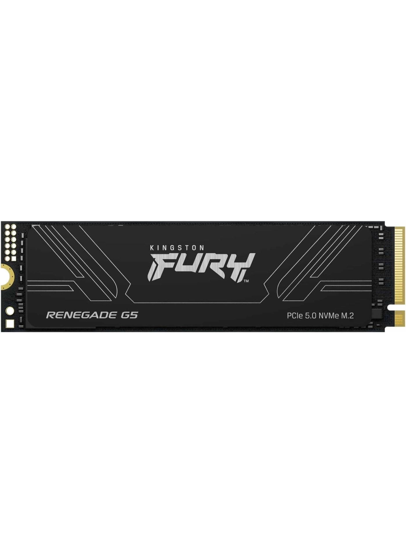 Kingston Technology FURY Renegade G5 - 2 TB M.2