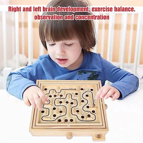 Labyrinth Wooden Puzzle (ET2504) - 1 pcs