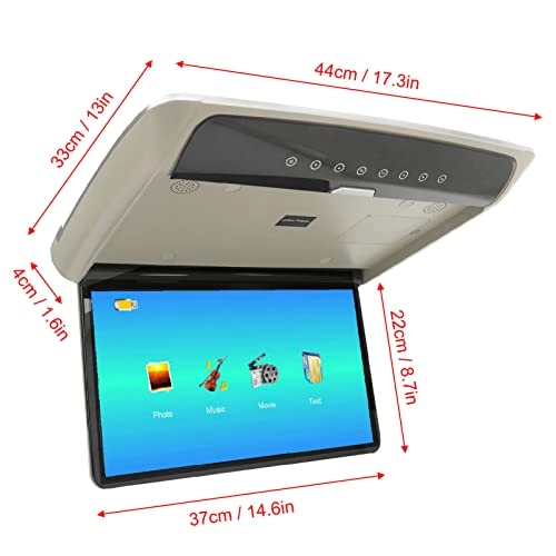 Car Overhead Player - 15.6in