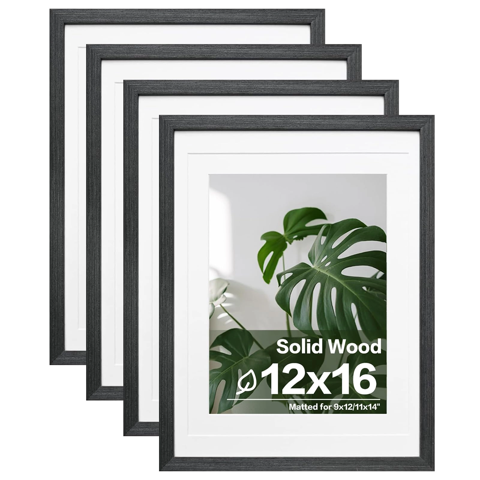 picture frames - 12x16