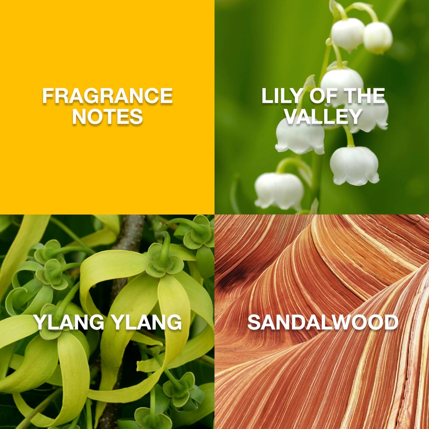 Eau De Toilette - 3.4 fl oz