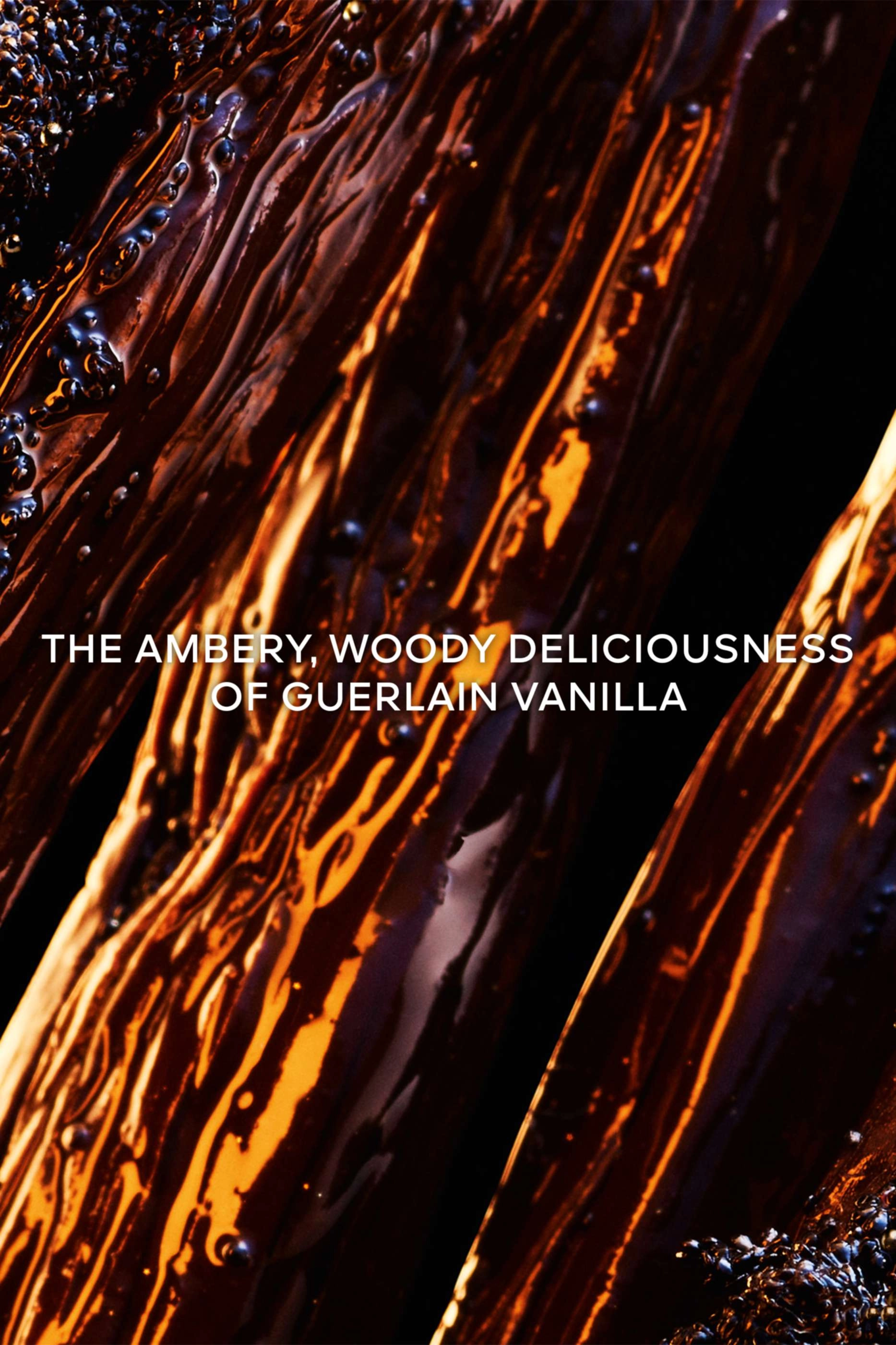 Vanille Planifolia Extrait 21 Eau de Parfum - 50 ml