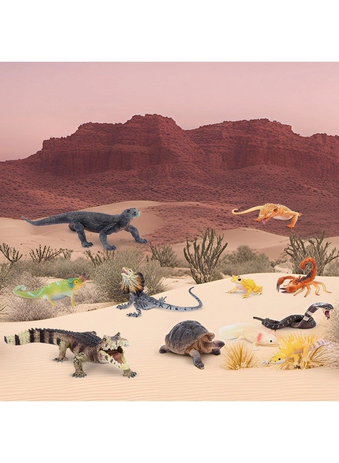Reptile Animal Figurine Toys Set - Desert Amphibians 12 pcs