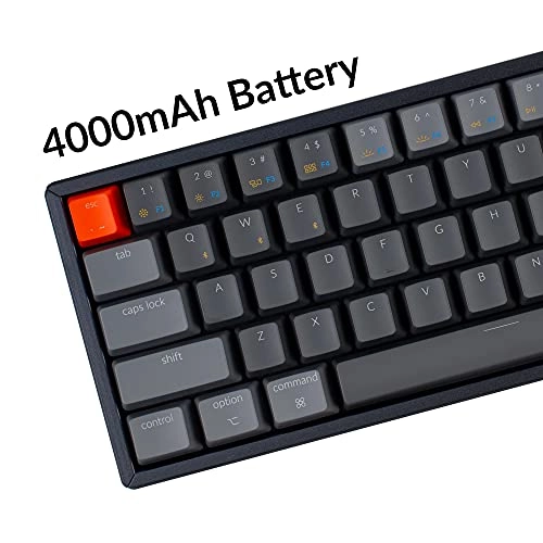 K12 - 60% Wired/Wireless