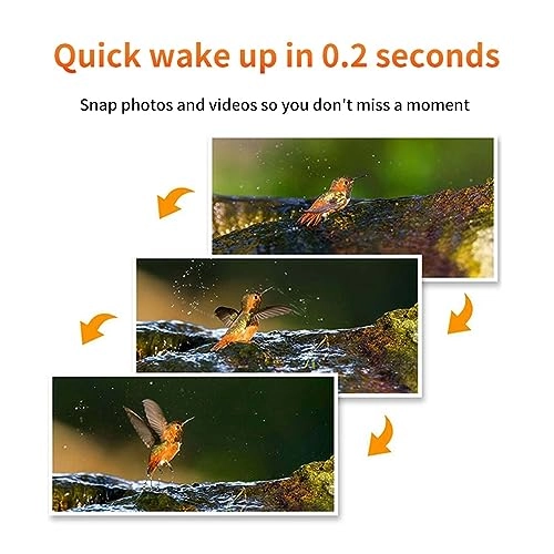 Solar Hunting Rear Camera - 4G 4 megapixel