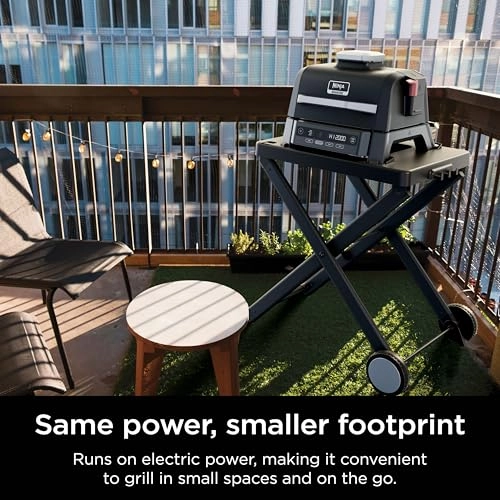 Woodfire Outdoor Grill & Smoker - Electric