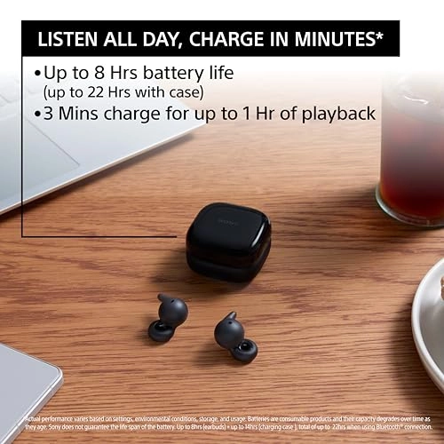 LinkBuds Open Wireless Earbud
