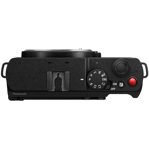 Lumix S9