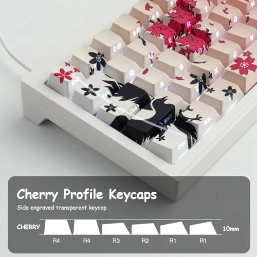 Keycaps - ASIN/ISO