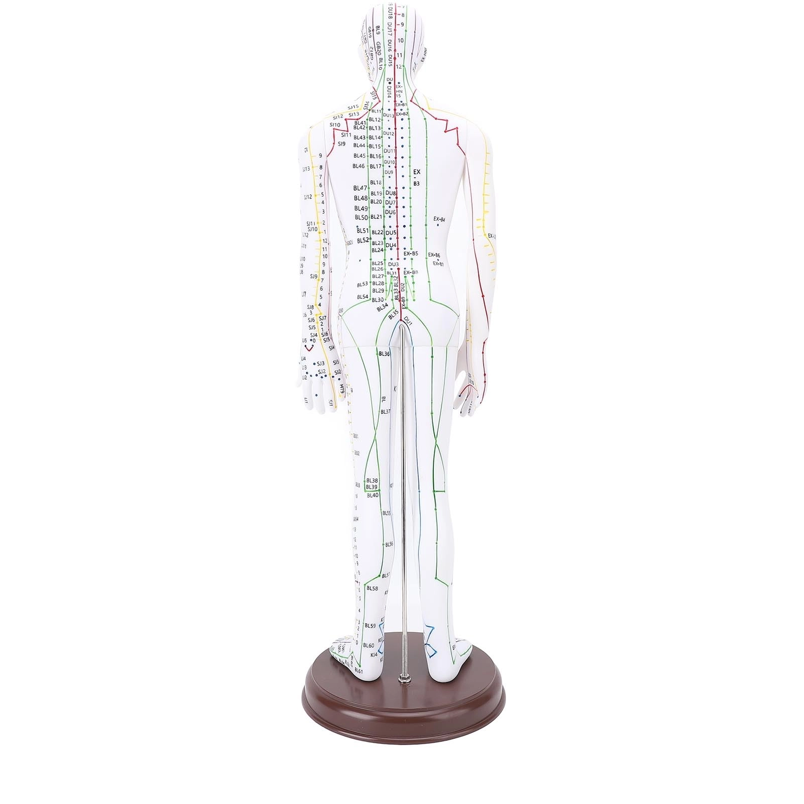 Acupuncture Doll