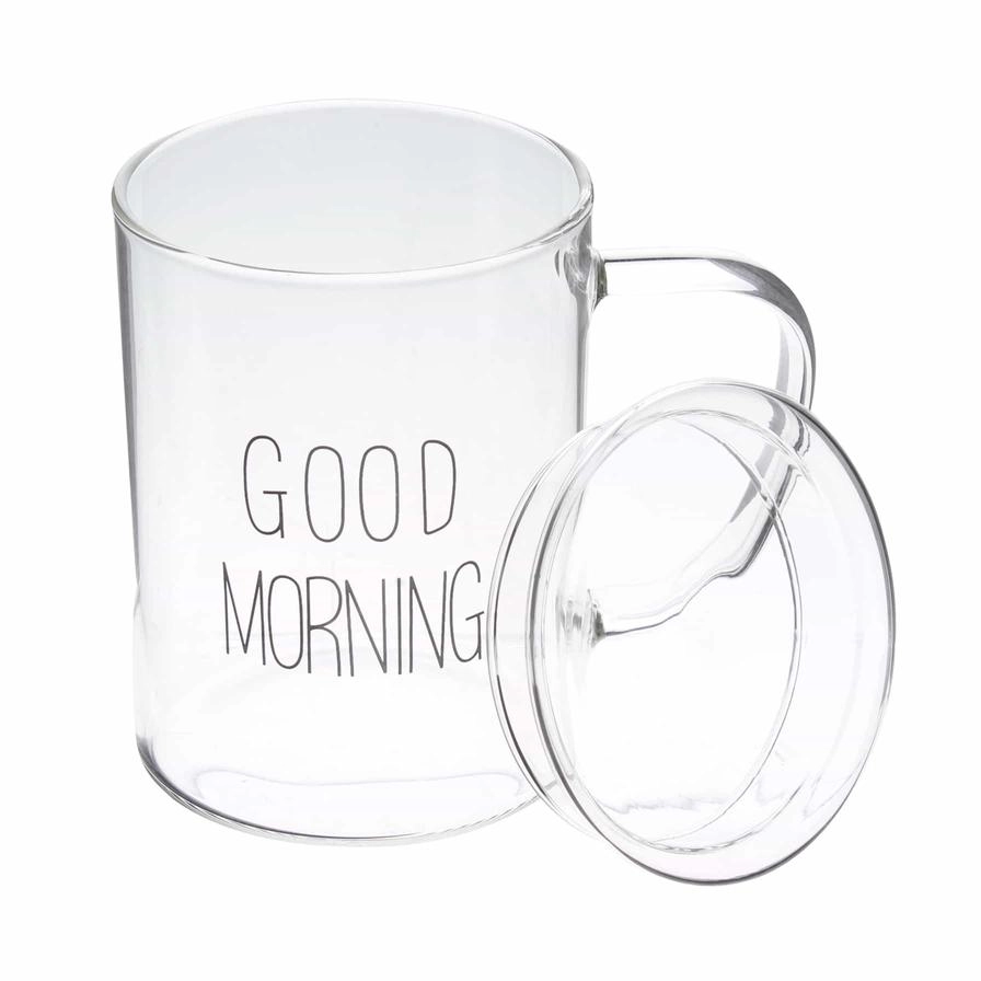 Borosilicate Glass Double Wall Mug - 450 ml