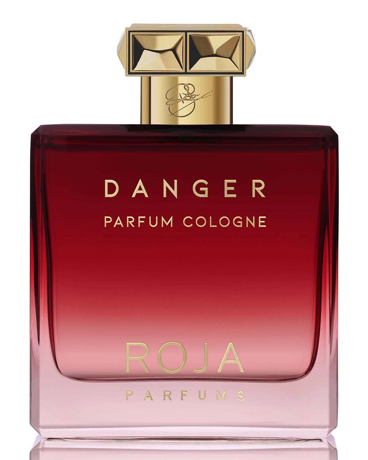 Roja Parfums Danger Pour Homme - Eau de Parfum 100ml