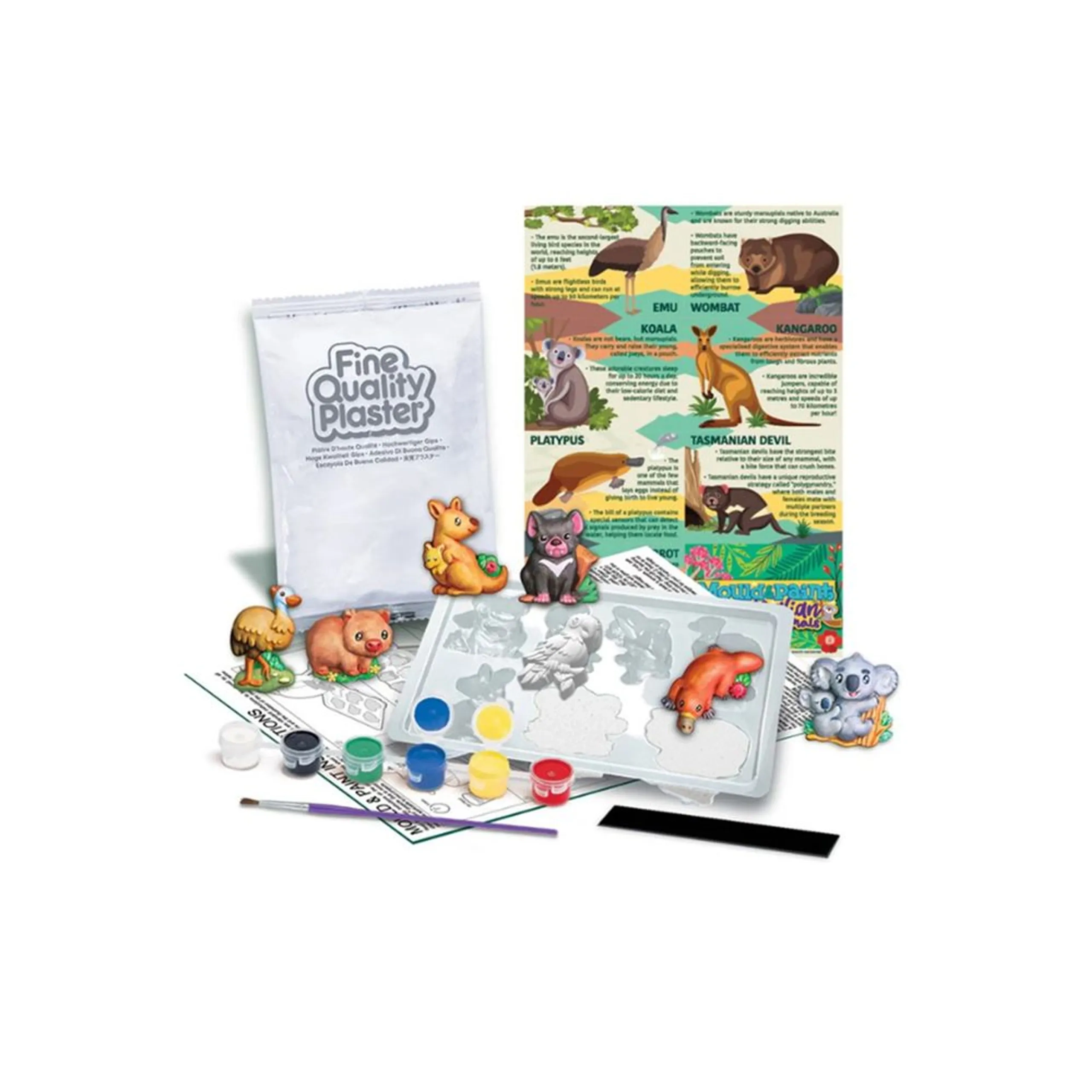 Mould & Paint Plaster Casting Craft Kit