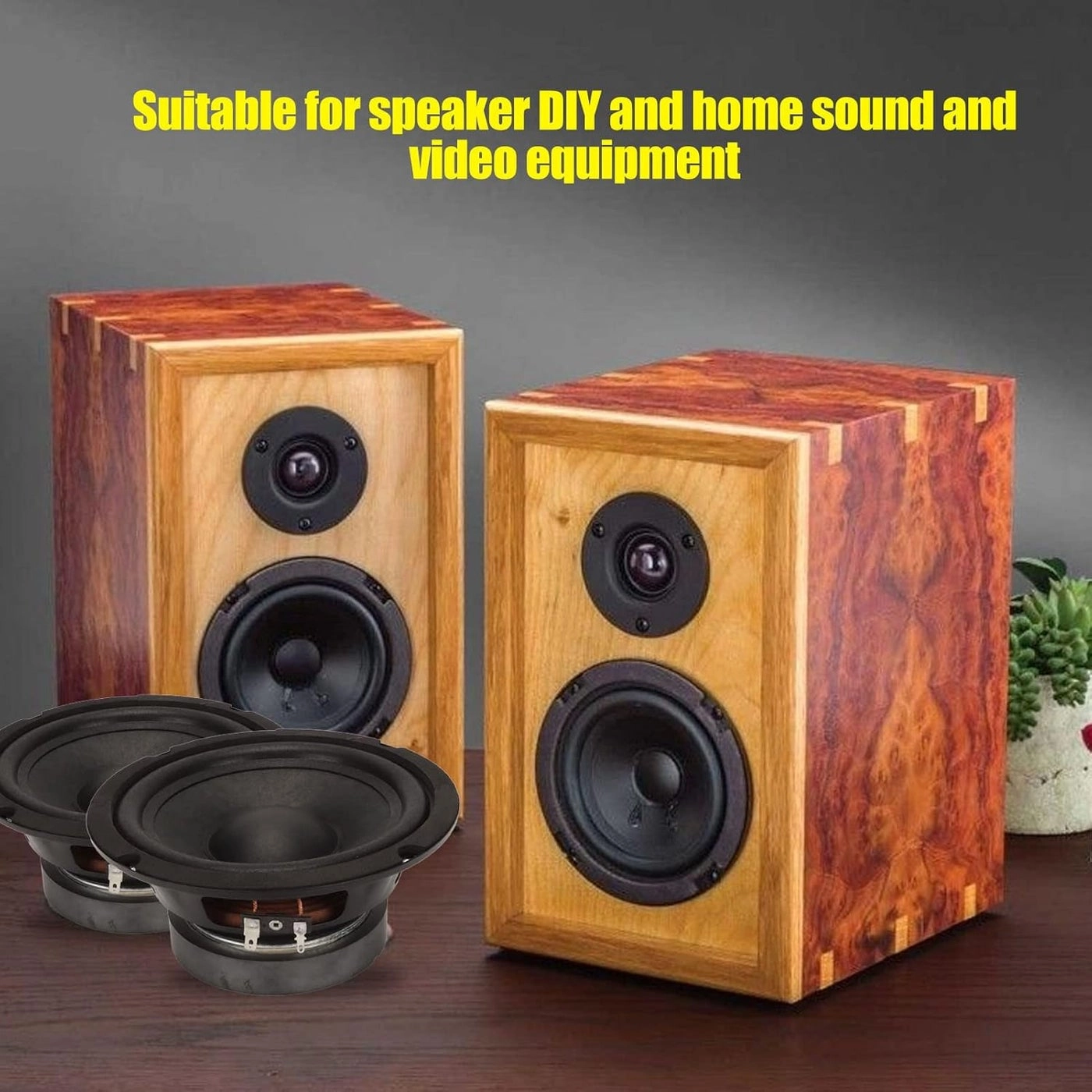 Full Range Speaker - 40W