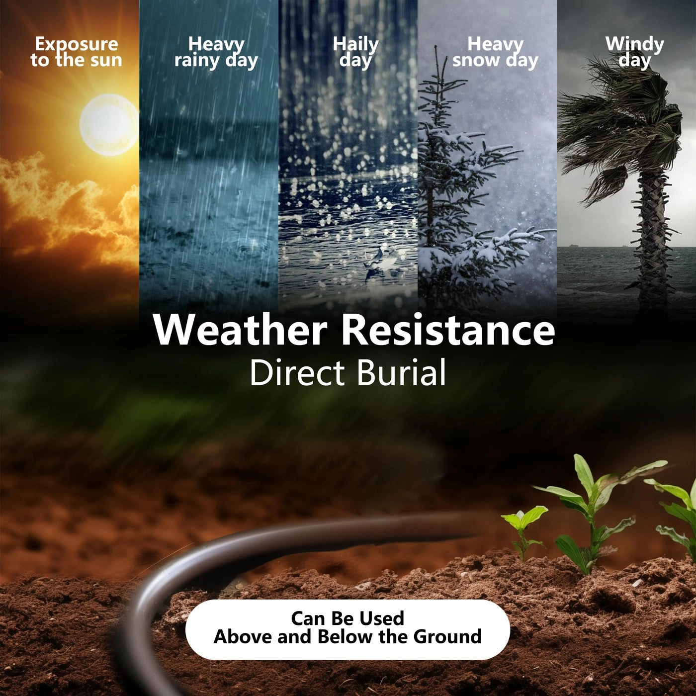 Cat 6 Outdoor Ethernet Cable - 50 ft