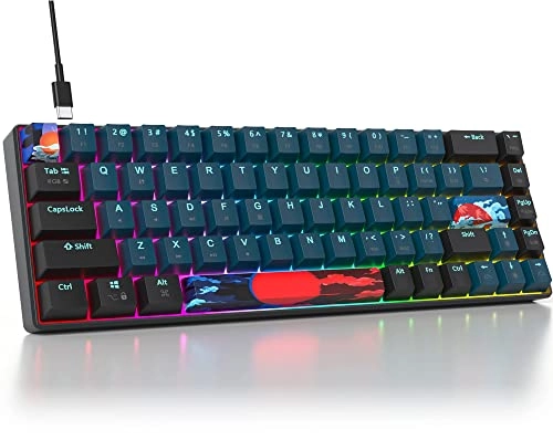 65 Percent Mechanical Gaming Keyboard - Wired