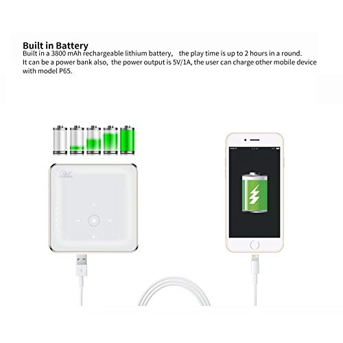 MIN-00004 1300 lumens