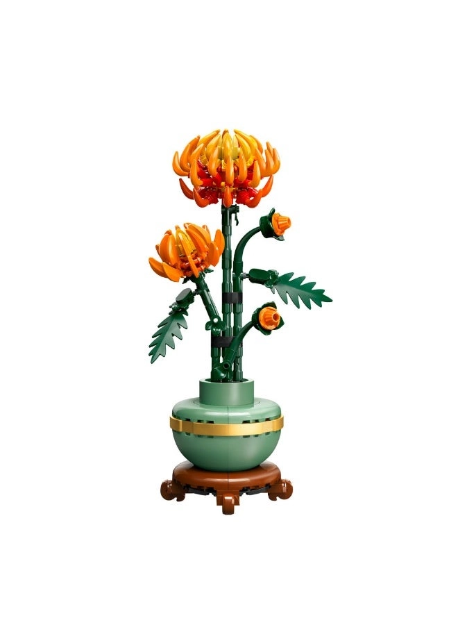 Icons Chrysanthemum (10368)
