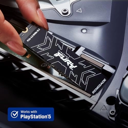 FURY RENEGADE - 4000 GB M 2 2280 Inches