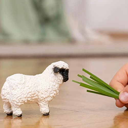 Valais Black-Nosed Sheep - 3 yr(s)