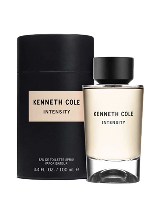 Intensity Eau de Toilette 100 ml
