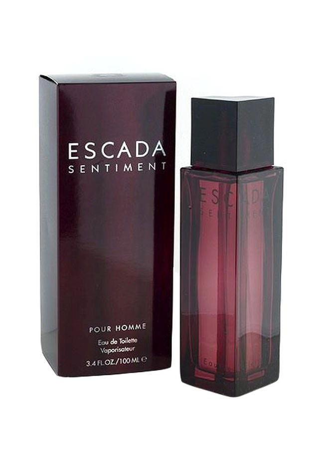 Sentiment Eau de Toilette 100ml