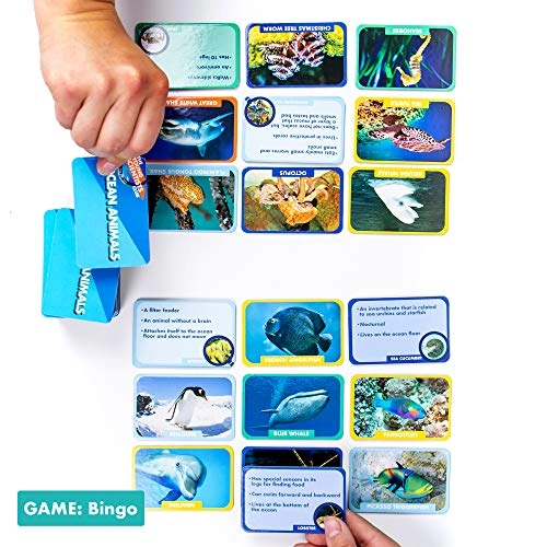 Ocean Animals Card Games - 5 years and up