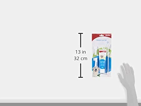 Dental Hygiene Set Mint Toothpaste 100G