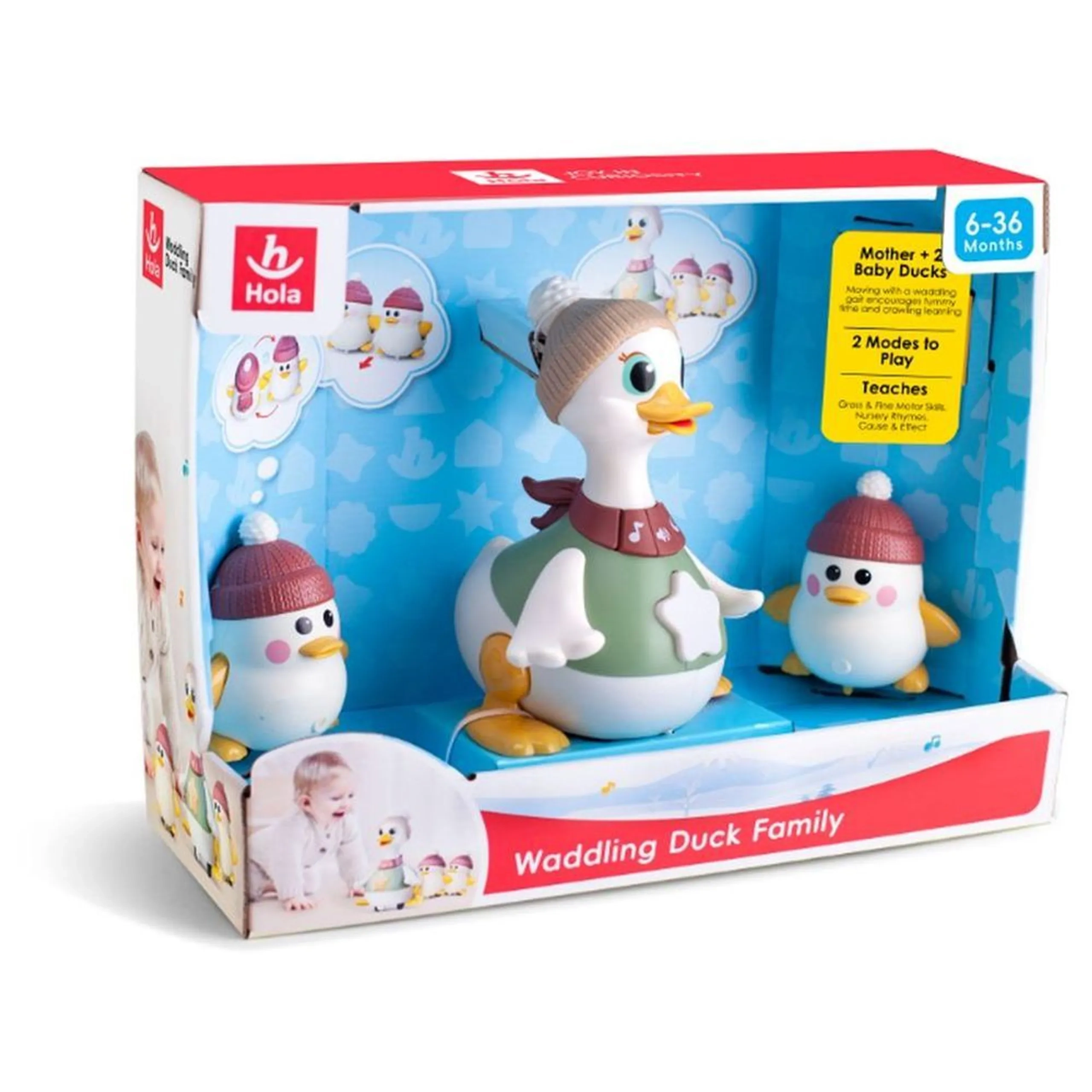 Waddling Duck Family - 3 months