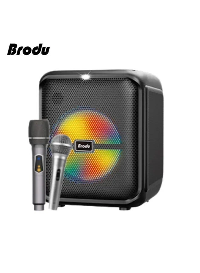 Brodu BTS 1740 - Dual Microphone