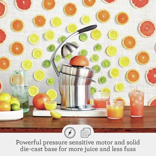 Citrus Press Pro - Brushed Stainless Steel Quadra-Fin juicing cone