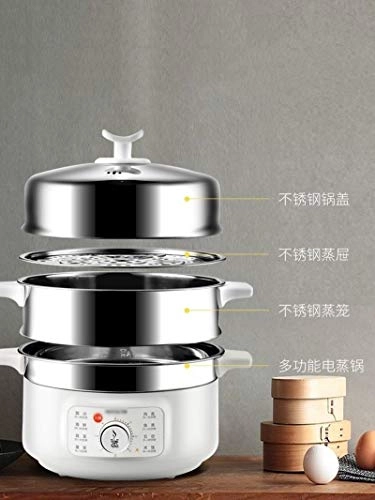 Electric Steamer - 3