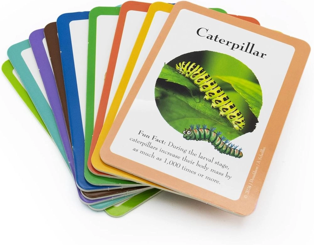 Bug Spotter Activity Set Gruffalo - Suitable for 3 years & above