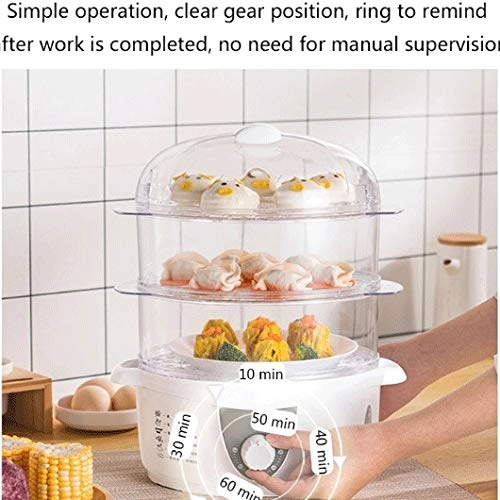 Electric Steamer - 6L