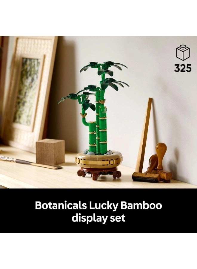 Lucky Bamboo (10344) - Botanicals