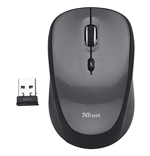 Yvi FX Wireless USB Mouse - Radio Frequency