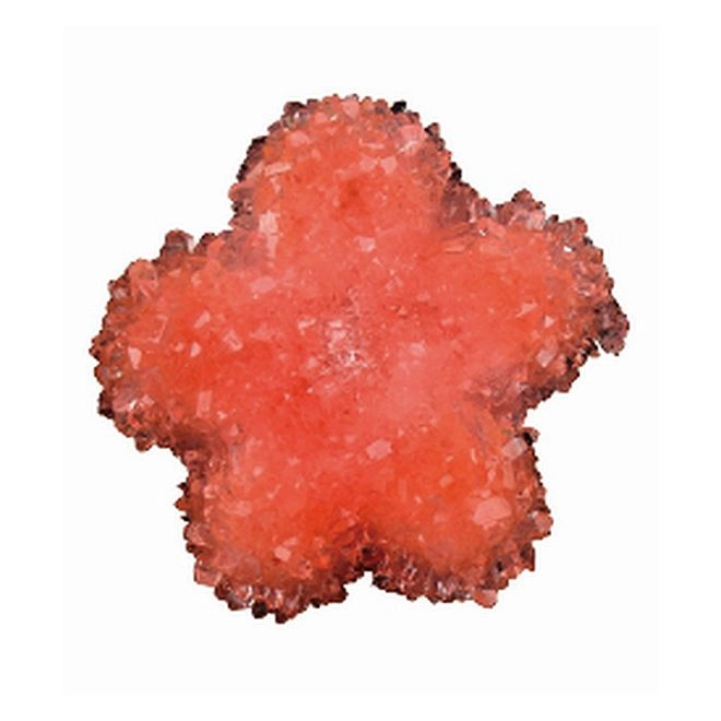 ANDREU Toys Crystal Growing Kit - 6 years+