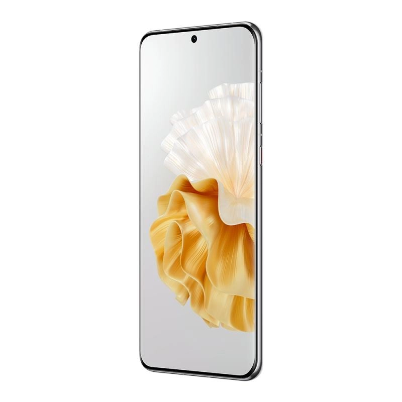 P60 Pro - 12GB 512GB
