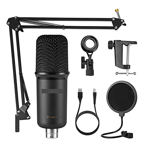 ss1/i46574 USB Microphone