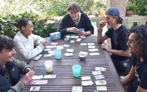 Smile Life: Luxury Life - 60 Cards Requires Base Game