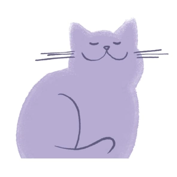 Bellevue - Card Game (French)