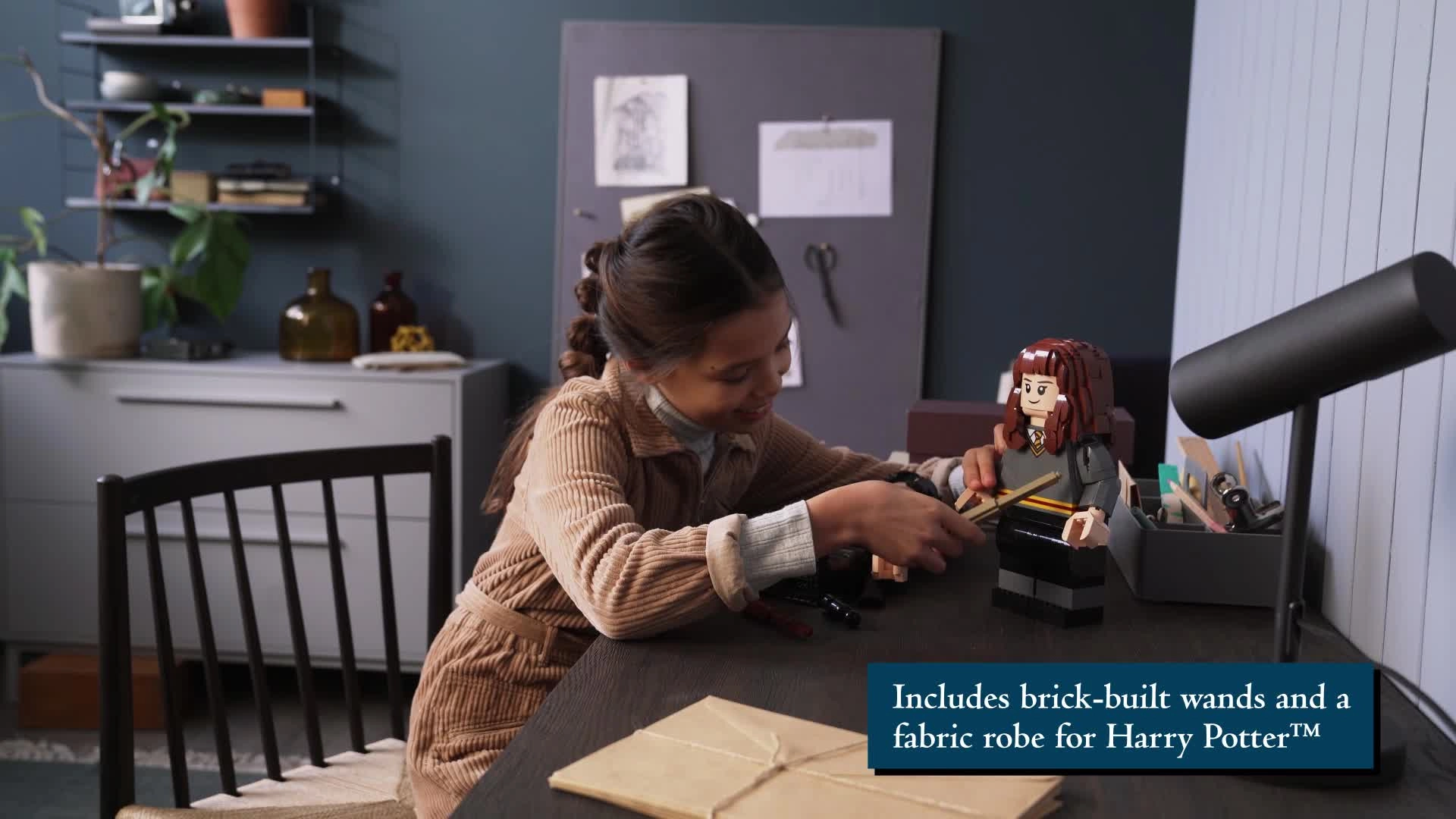 Harry Potter: Harry Potter and Hermione Granger