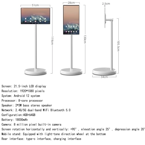 Mobile Portable TV - FHD 1080p 21.5 Inches